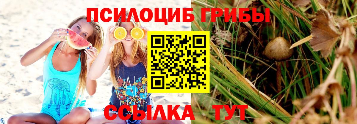 Псилоцибиновые грибы Psilocybine cubensis  как найти наркотики  Алапаевск  Вход с VPN 
